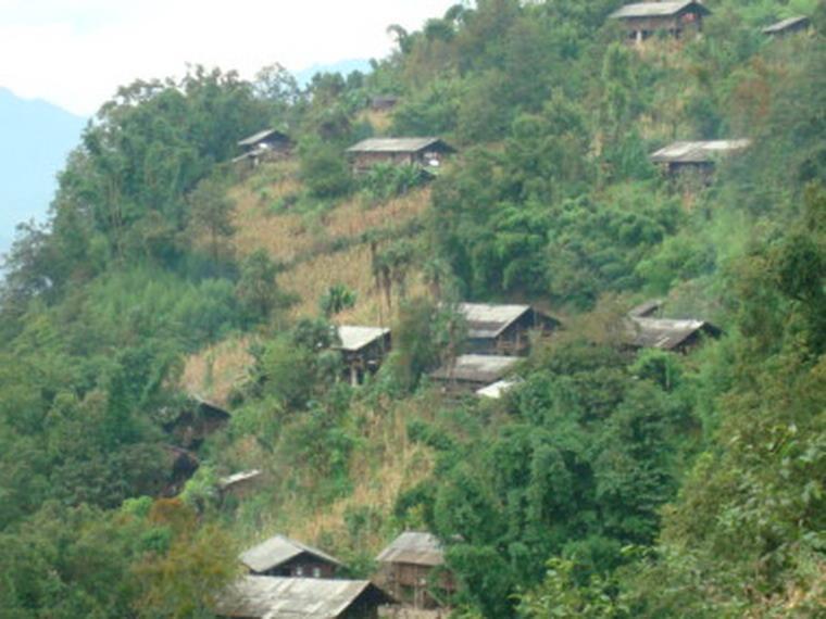 知龍村 知龍村