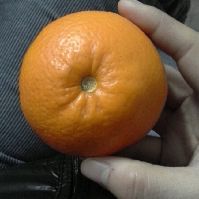 橙子暖手寶