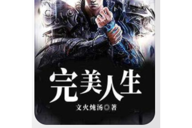 完美人生(文火燉湯所著小說) 完美人生(文火燉湯所著小說)