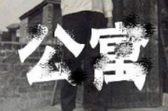 公寓(1985年劉欣導演國產電影)