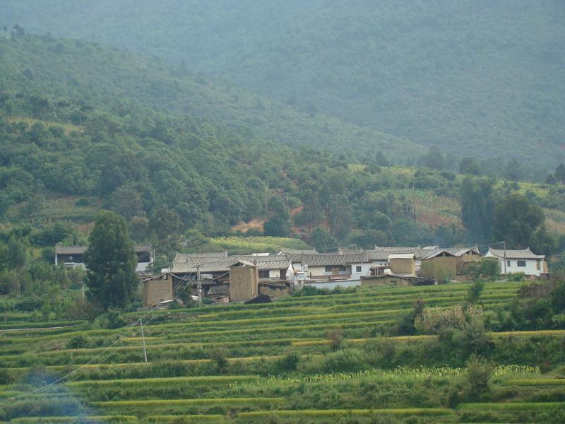 老象腳村 老象腳村