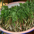 山野菜 山野菜