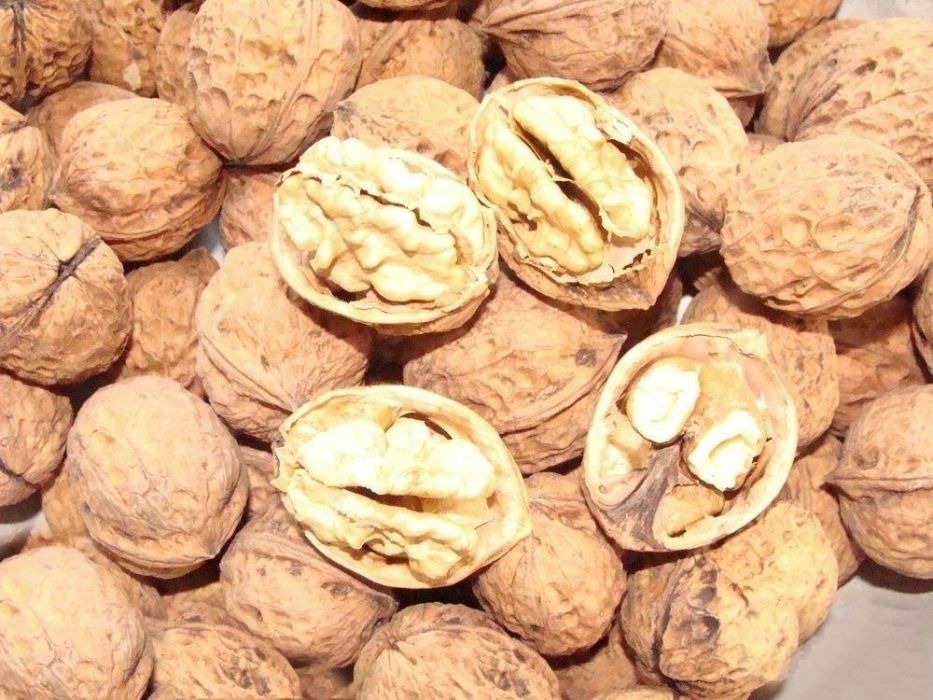 綏中核桃 綏中核桃