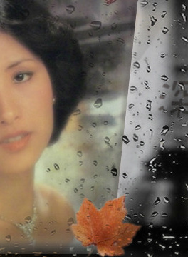 赤井英和 赤井英和