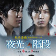 夜光的階梯(2009年9集劇情電視劇)