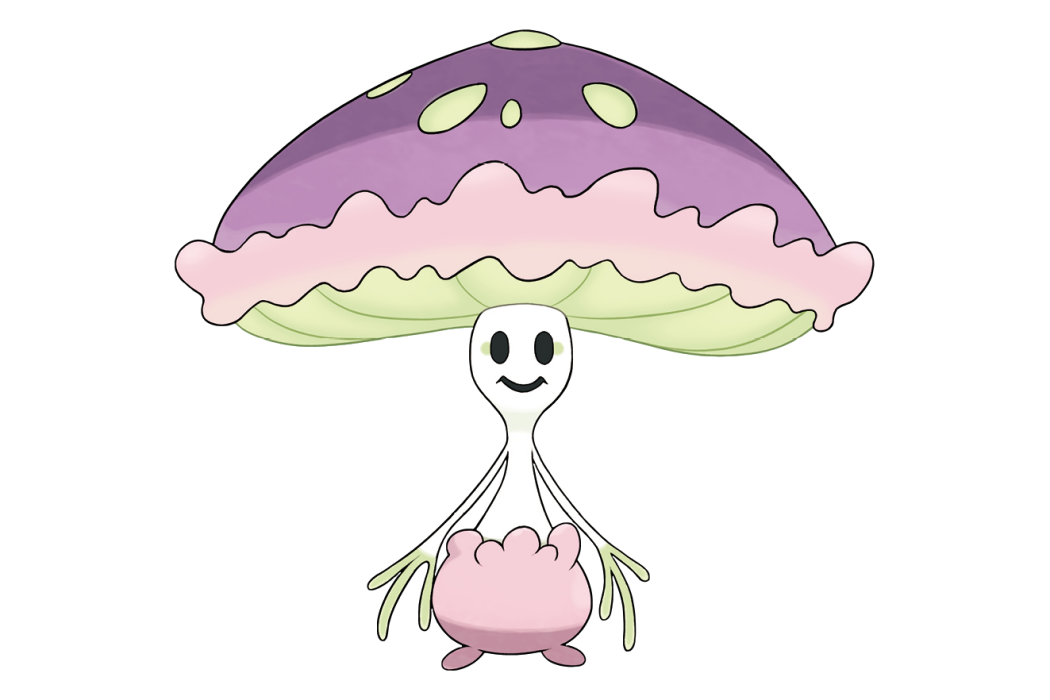 燈罩夜菇 燈罩夜菇