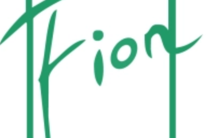Fion Beauty Fion Beauty