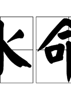 邢佳棟