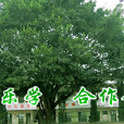 安遠天心中學 安遠天心中學