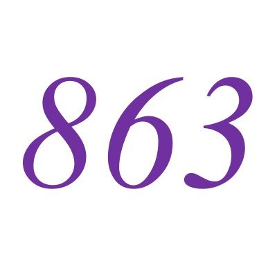 863(自然數之一) 863(自然數之一)