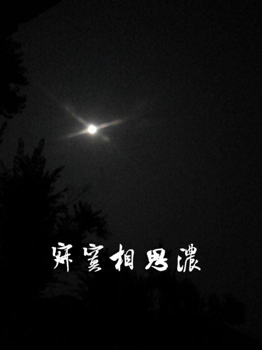 寂寞相思濃 寂寞相思濃