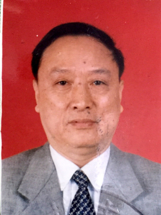 黃偉(廣州城市規劃局自動化中心教授) 黃偉(廣州城市規劃局自動化中心教授)