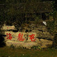 海龍屯(風景區)