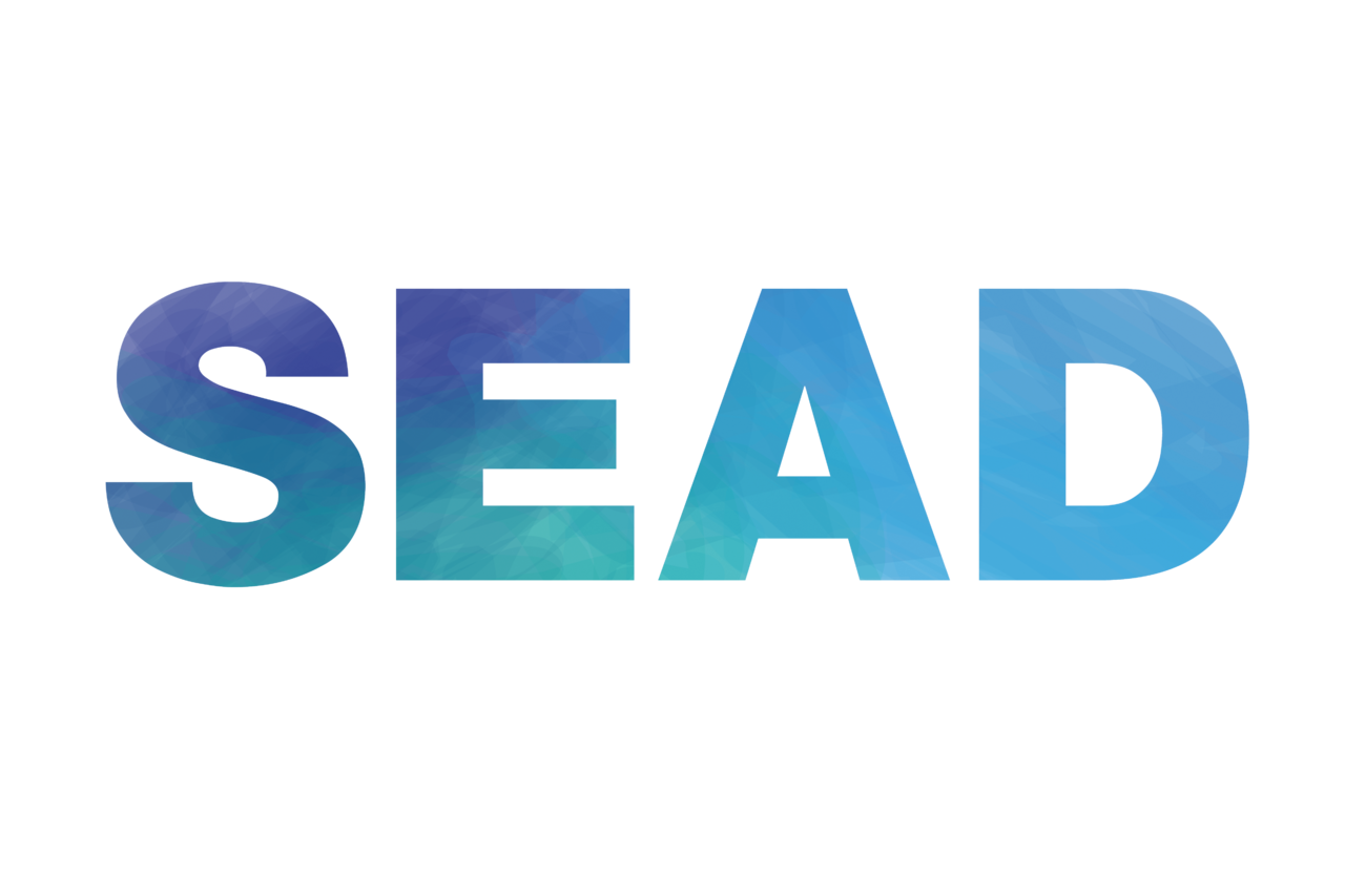 SEAD(大型中學生線下論壇及周邊活動)