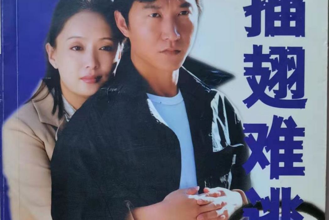 插翅難逃(羅石賢長篇紀實小說) 插翅難逃(羅石賢長篇紀實小說)
