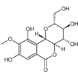 岩白菜素(用於慢性支氣管炎) 岩白菜素(用於慢性支氣管炎)