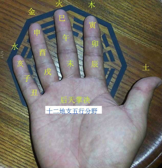後天掌訣 後天掌訣