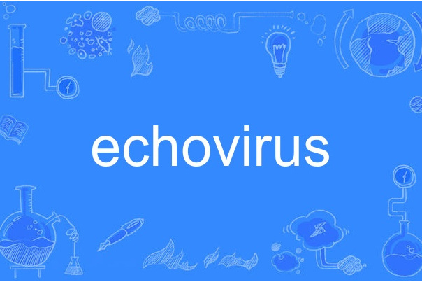 echovirus