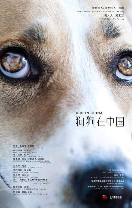 狗狗在中國