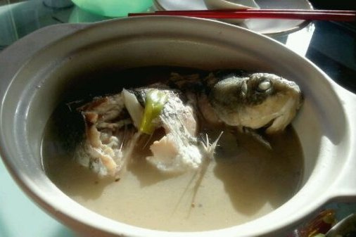 鯉魚白瓜湯