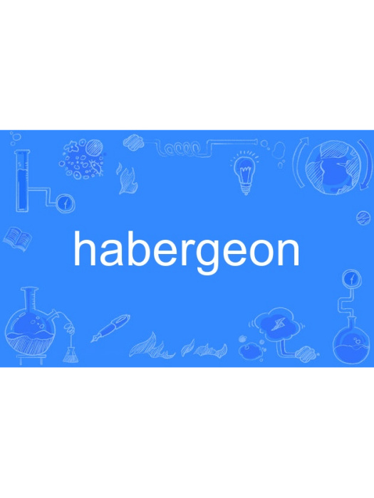 habergeon