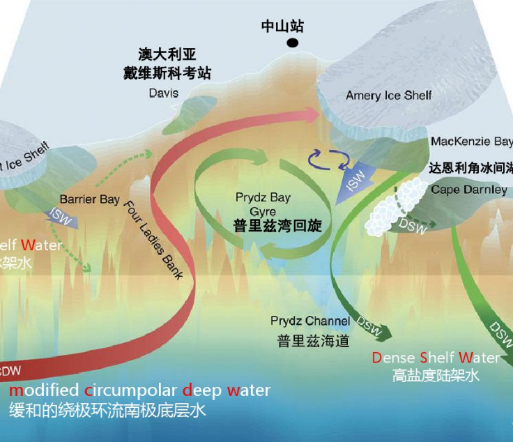 南極底層水 南極底層水