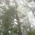 大窩潭村 大窩潭村