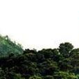 羅浮村 羅浮村