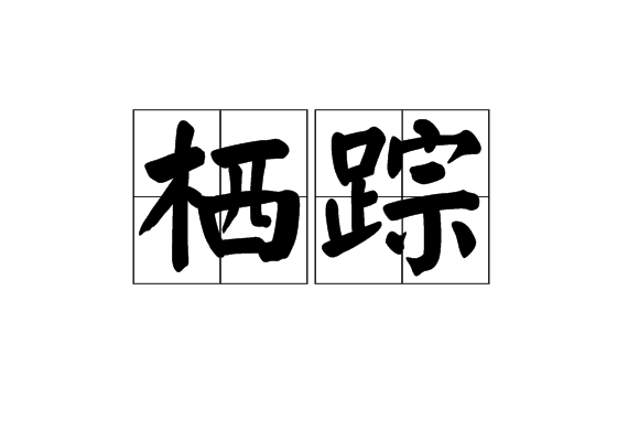 棲蹤 棲蹤