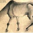 瘦馬行 瘦馬行