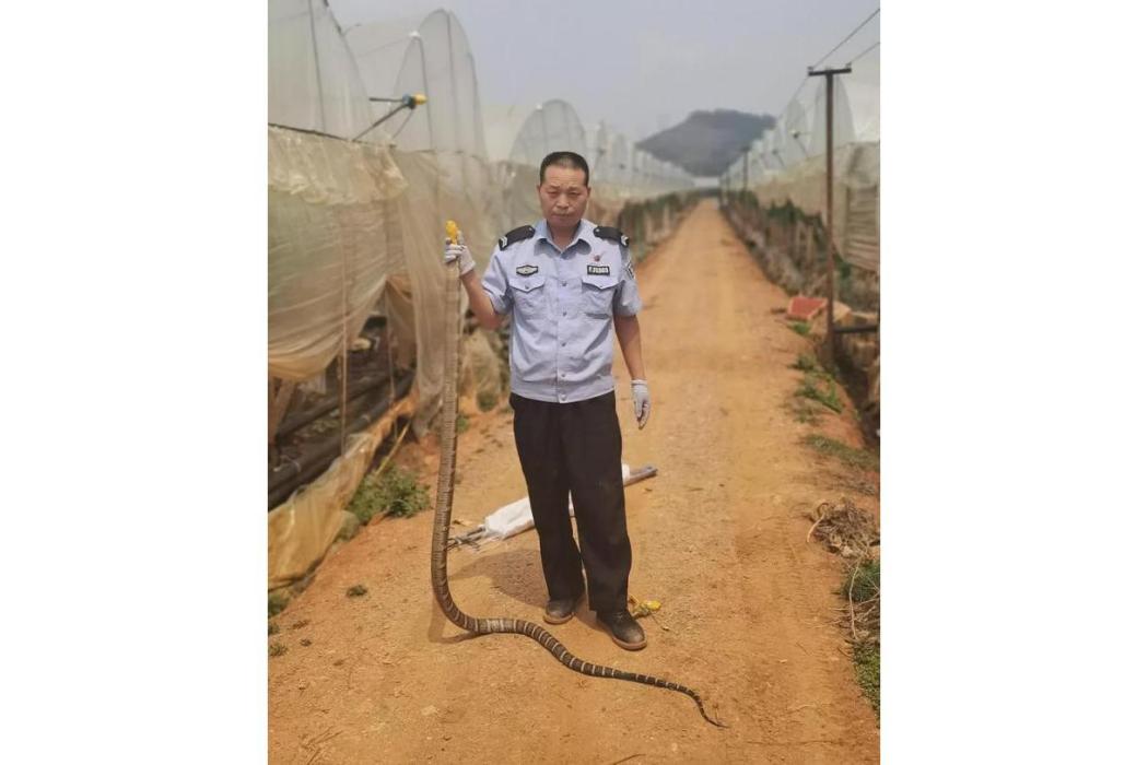 李貴雄