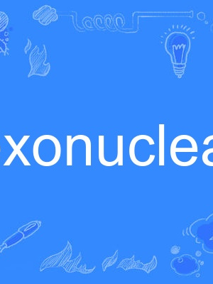 exonuclease exonuclease