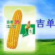 吉單35(禾本科玉蜀黍屬植物玉蜀黍的品種) 吉單35(禾本科玉蜀黍屬植物玉蜀黍的品種)