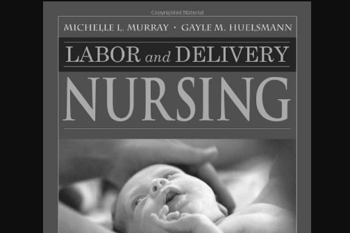Labor and Delivery Nursing Labor and Delivery Nursing