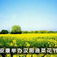 漢陰油菜花節 漢陰油菜花節