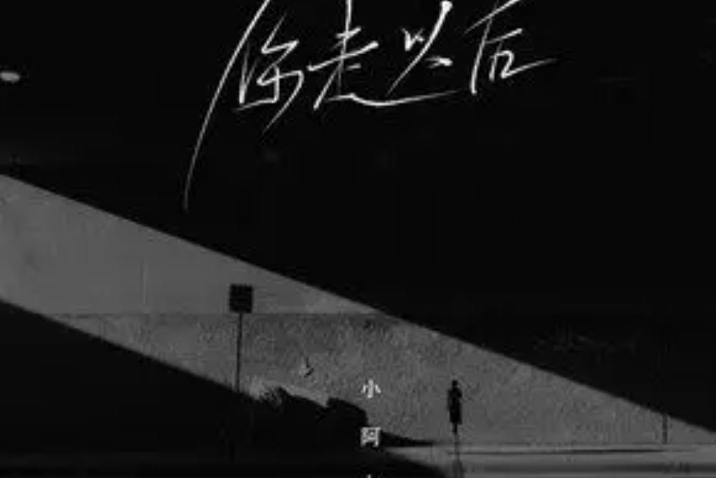你走以後(小阿七演唱的歌曲) 你走以後(小阿七演唱的歌曲)