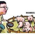丁磊豬