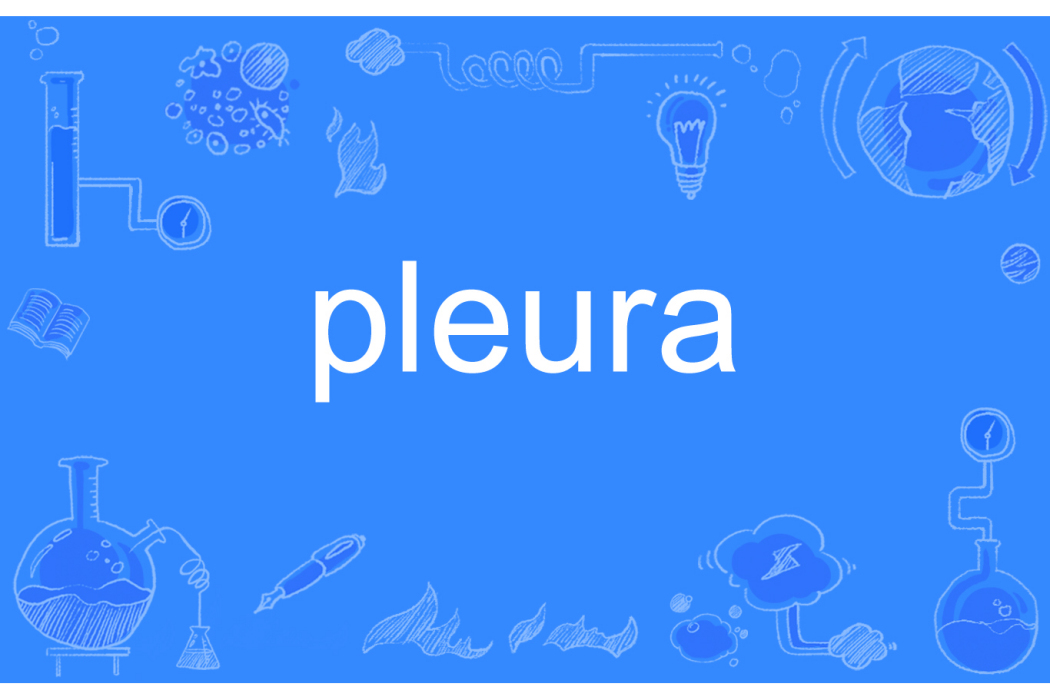 pleura pleura