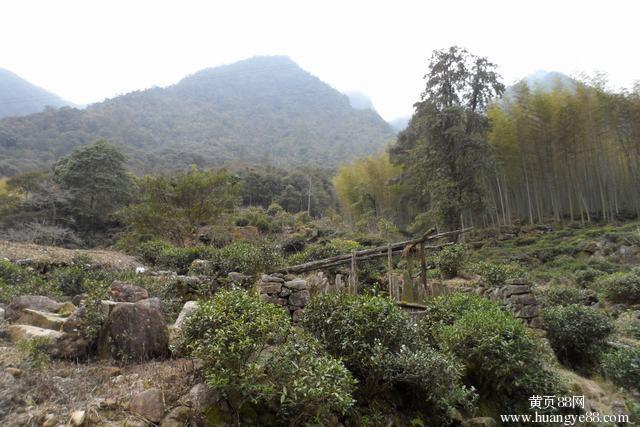 色關塘村 色關塘村