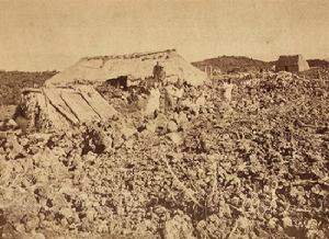 1868年夏威夷島發生7.9級地震