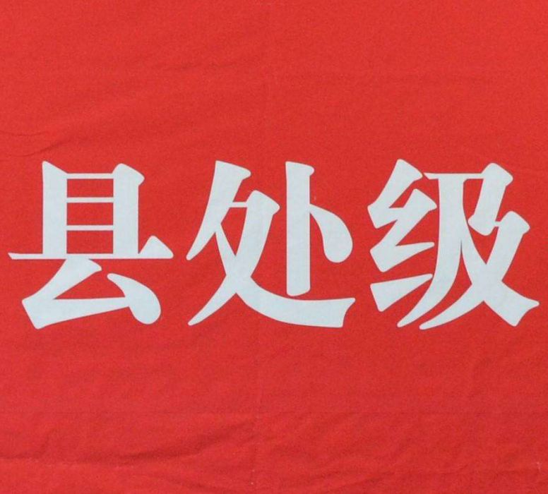 縣處級 縣處級