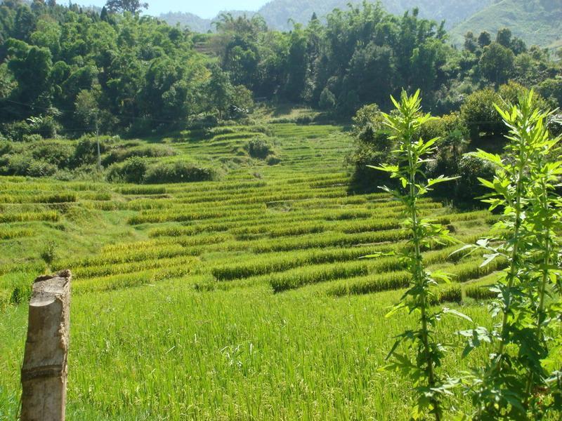 灣中上寨村 灣中上寨村