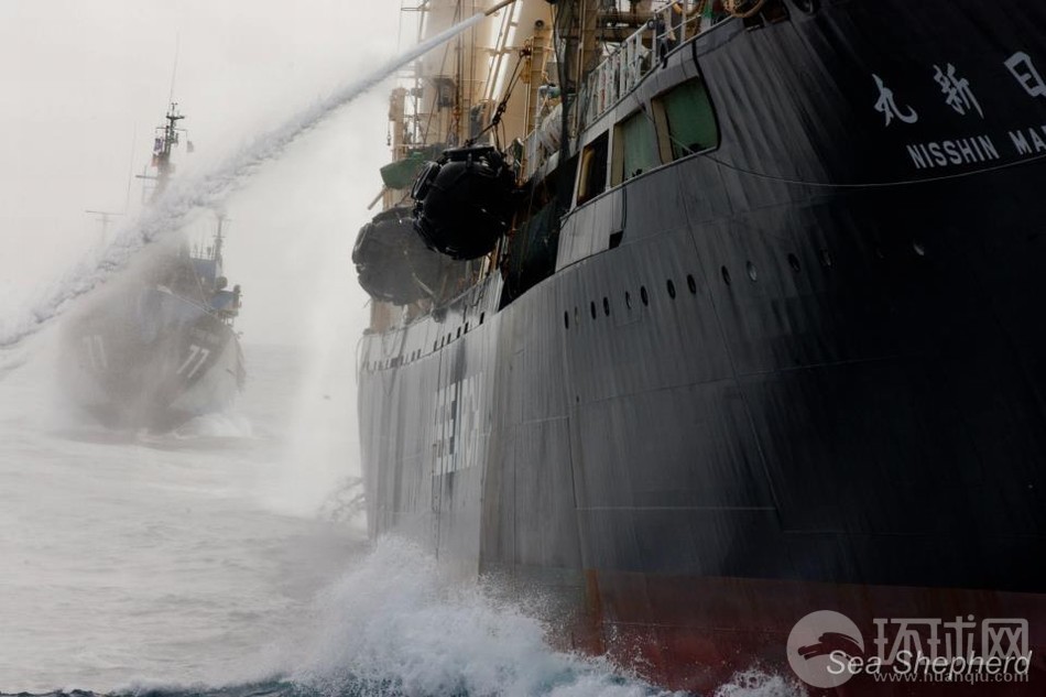 反捕鯨船遭日本軍艦“摧毀”