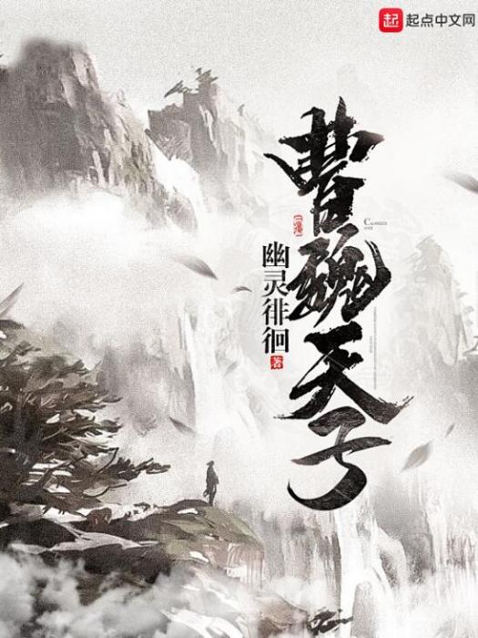 曹魏天子 曹魏天子