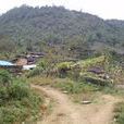 草山村(安徽省蕪湖市繁昌縣平鋪鎮草山村) 草山村(安徽省蕪湖市繁昌縣平鋪鎮草山村)