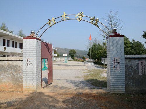杉木學校 杉木學校