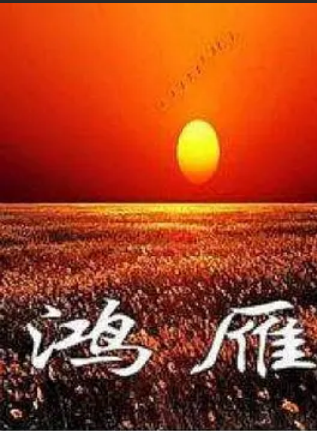 范小柯