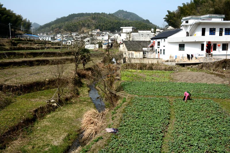 西塍村 西塍村