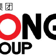 洪集集團 洪集集團