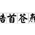 皓首蒼顏 皓首蒼顏